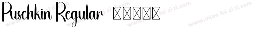 Puschkin Regular字体转换